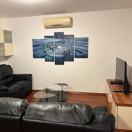 Apartments Kivi Novigrad Istria Dış mekan fotoğraf