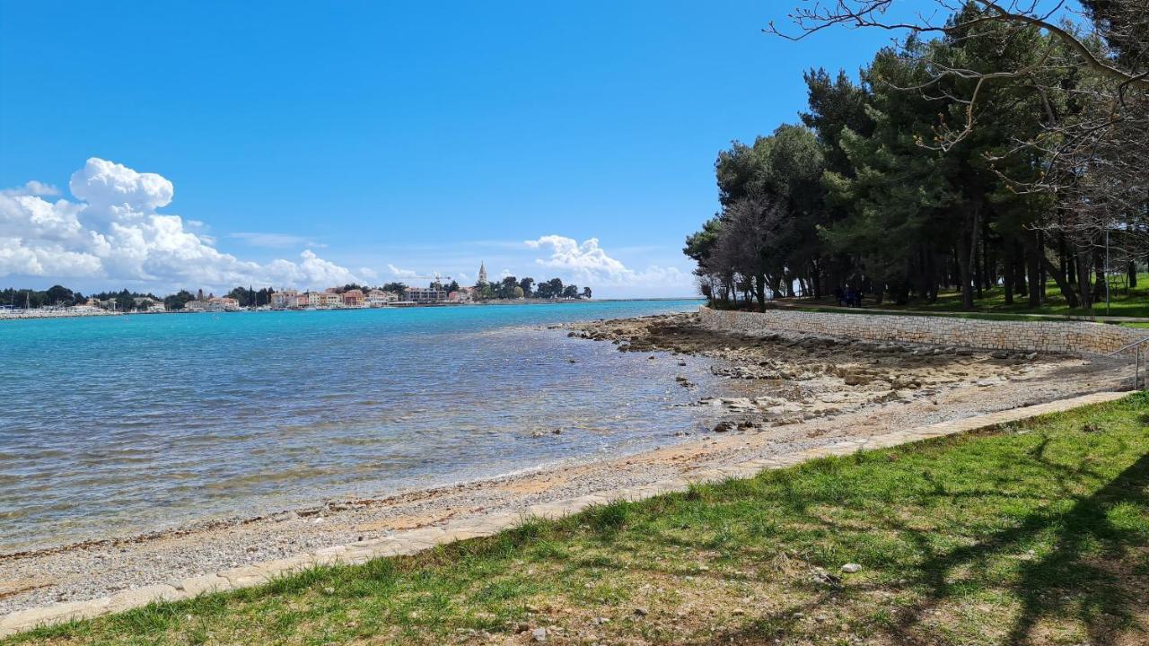 Apartments Kivi Novigrad Istria Dış mekan fotoğraf