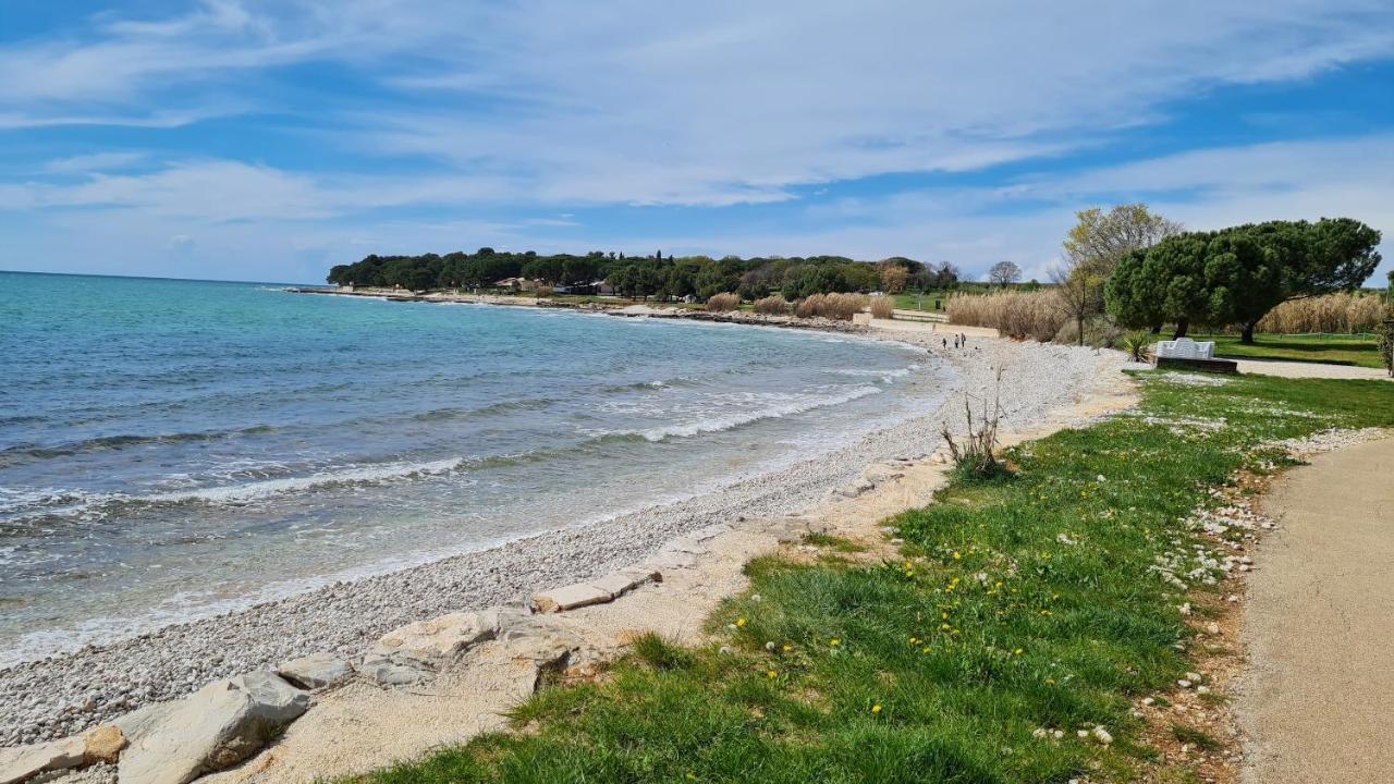 Apartments Kivi Novigrad Istria Dış mekan fotoğraf