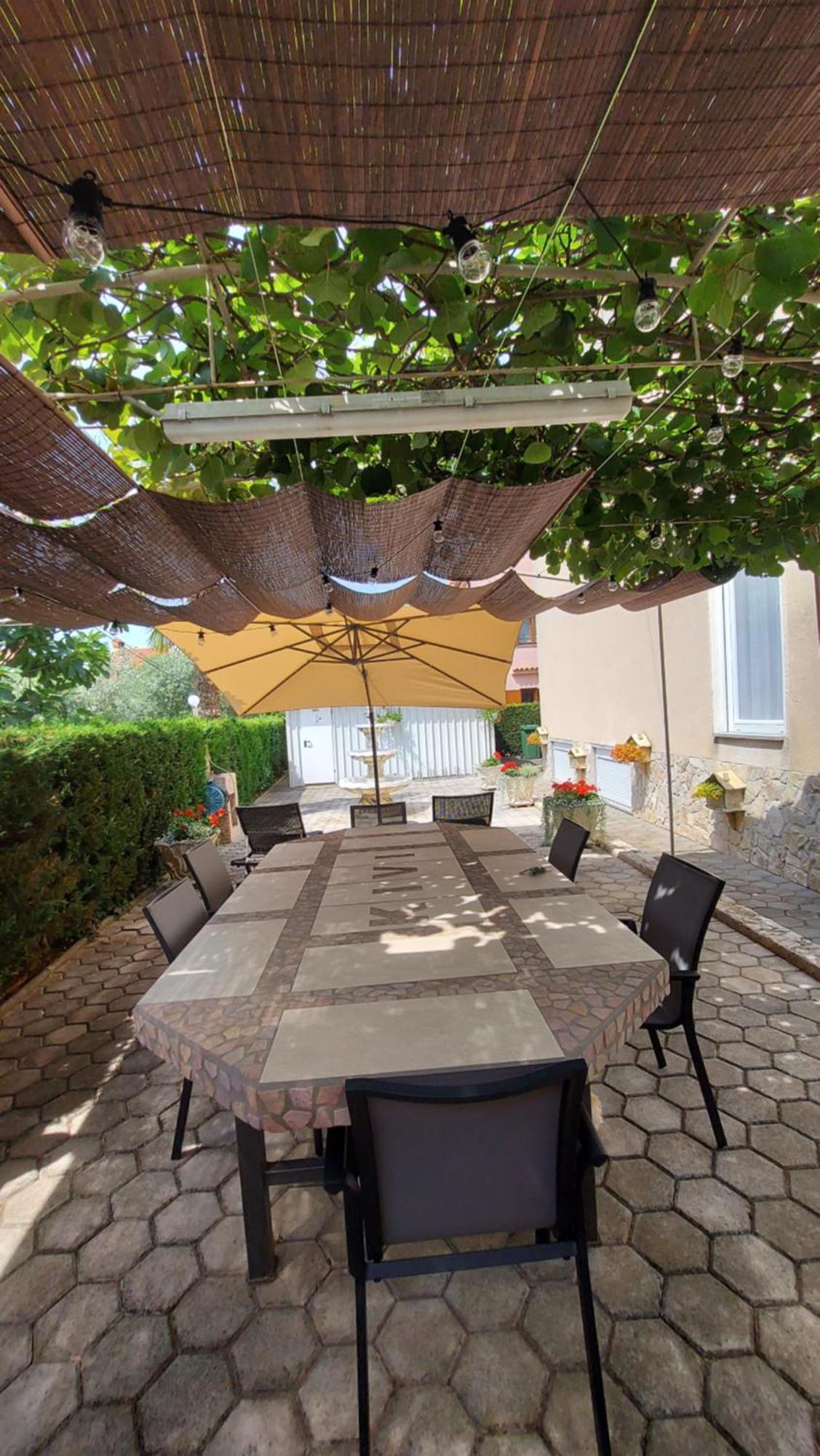 Apartments Kivi Novigrad Istria Dış mekan fotoğraf