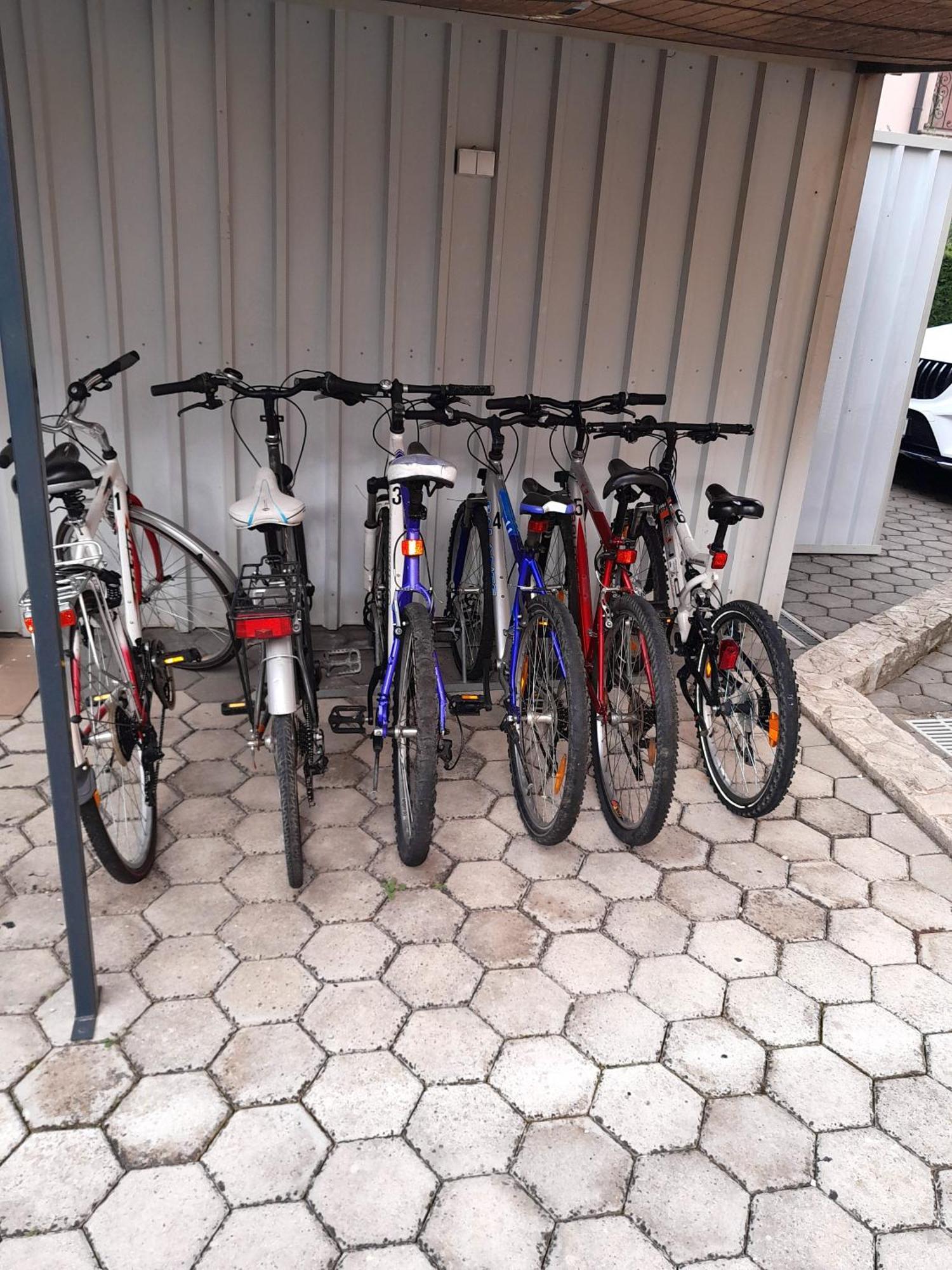 Apartments Kivi Novigrad Istria Dış mekan fotoğraf