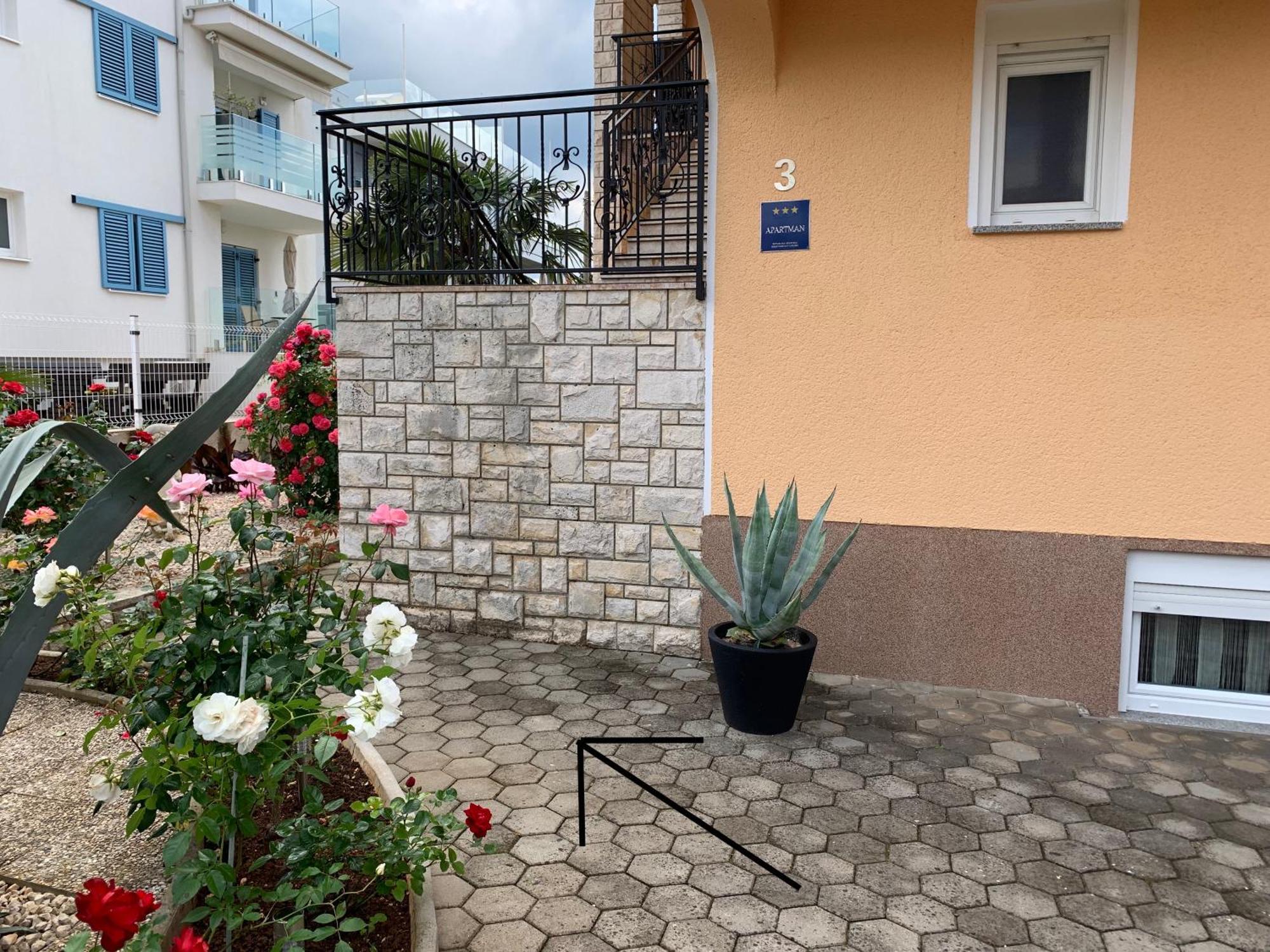 Apartments Kivi Novigrad Istria Dış mekan fotoğraf
