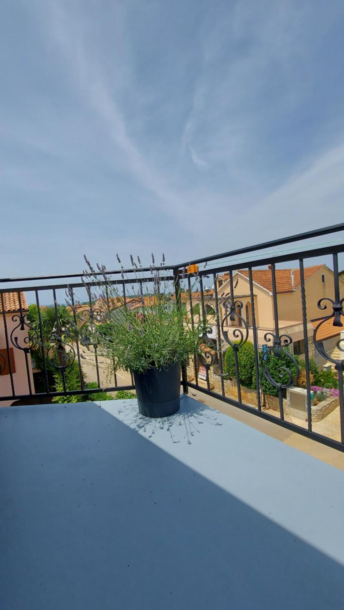 Apartments Kivi Novigrad Istria Dış mekan fotoğraf